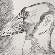 Фото: darwinmuseum.ru