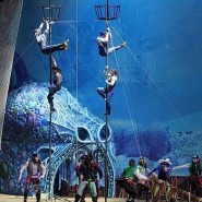 Цирковое шоу «Пираты и затерянный остров» 2019/2020 фотографии