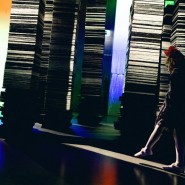 Фото: darwinmuseum.ru
