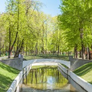 Фото: dzen.ru