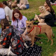 Фото: vk.com/petshopdays