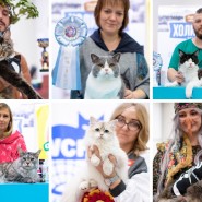 Международная выставка кошек «Ёжкин кот» в ТРЦ «Гагаринский» 2024 фотографии
