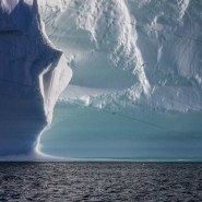 Выставка «Застывшие во времени» фотографии