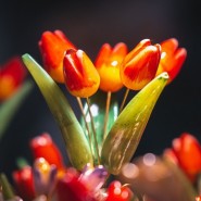 Выставка-ярмарка народных художественных промыслов и ремёсел России «Жар-птица. Весна - 2026» фотографии