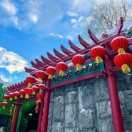 Фото: vk.com/moscow_zoo