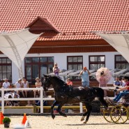 Фото: vdnh.ru