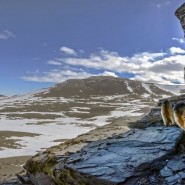 Выставка «Арктика с воздуха» фотографии