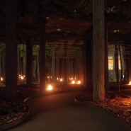 Инновационная мультисенсорная выставка-переживание «Сон в музее» фотографии