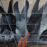 Фото: darwinmuseum.ru