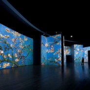 Выставка «Ван Гог. Ожившие полотна» фотографии