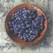 Фото: darwinmuseum.ru