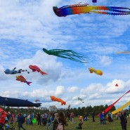 XVII Фестиваль воздушных змеев «Пестрое небо» фотографии