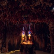 Выставка DEEP INSIDE/GHT. Новое начало фотографии