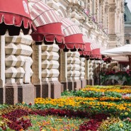 Фестиваль цветов в ГУМе 2021 фотографии