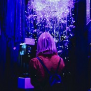 Иммерсивная мультимедиа выставка «SENSE. Почувствуй стихии» фотографии