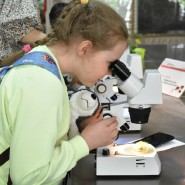 Фото: vk.com/biomuseum