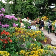 XVII Весенний фестиваль цветов в «Аптекарском огороде» фотографии