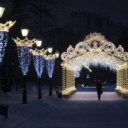 Зима в «Царицыне» 2021-2022 фотографии