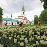 Фестиваль «Расцвет. Открытие сезона в Коломенском» 2023 фотографии