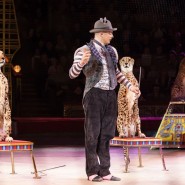 Цирковое шоу «Стойкий оловянный солдатик» фотографии