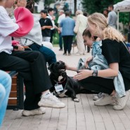 Выставка-пристройство бездомных животных «Догоникота-фест» 2023 фотографии