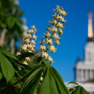 Экспозиция «Главная выставка страны» фотографии