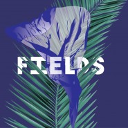 Фестиваль авангардной музыки Fields 2016 фотографии
