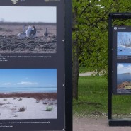 Фото: tsaritsyno-museum.ru