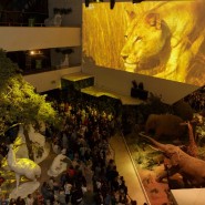 Фото: museumsnight.moscow