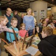 Фото: darwinmuseum.ru