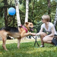 Фестиваль «Собаки в городе» 2022 фотографии