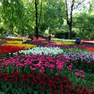 Фото: hortus.msu.ru