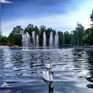 Лианозовский парк фотографии