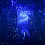 Иммерсивная мультимедиа выставка «SENSE. Почувствуй стихии» фотографии