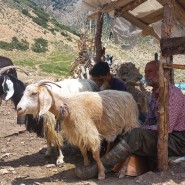 Фото: smartcinema.ru