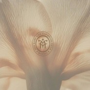 Парфюмерная выставка «Московская парфюмерная форма» фотографии