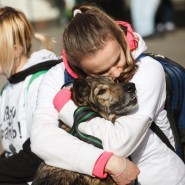 Выставка бездомных собак и кошек «Надо брать! Осенью!» 2017 фотографии