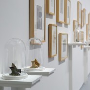 Выставка «Les années folles. Фотография, костюмы и обувь из коллекции Shoe Icons» фотографии