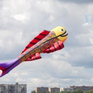 Фестиваль воздушных змеев «Пёстрое небо» 2022 фотографии