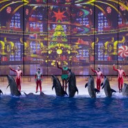 Фото: kosheyshow.ru