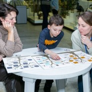 Фото: darwinmuseum.ru