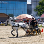Чемпионат и Первенство Москвы по драйвингу 2024 фотографии
