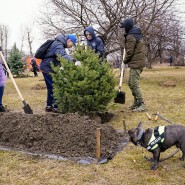 Общегородской субботник 2023 фотографии