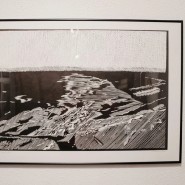 Выставка «Линогравюра 2.0» фотографии