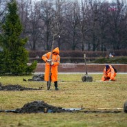 Общегородской субботник 2023 фотографии