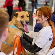 Фото: yunacenter.ru