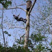 Фото: smartcinema.ru