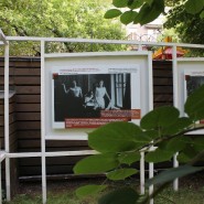 Выставка «Семейный альбом Толстых. Хамовники» фотографии