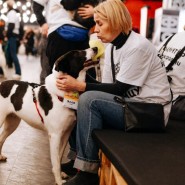 Фото: fund4dogs.ru