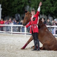 Фестиваль «Дни конного спорта» 2022 фотографии
